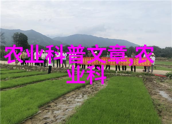 葡萄采收前施硝酸钙品质好-